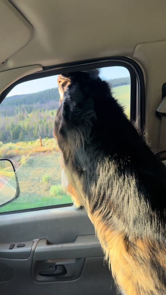 Post 6 by Sean Cudney on TikTok (video)