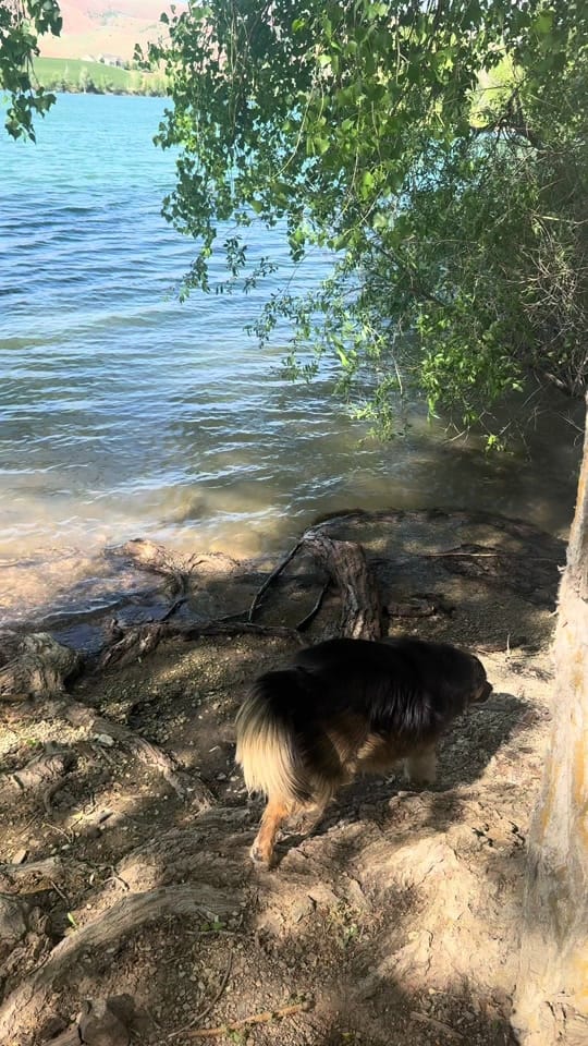 Post 4 by Sean Cudney on TikTok (video)