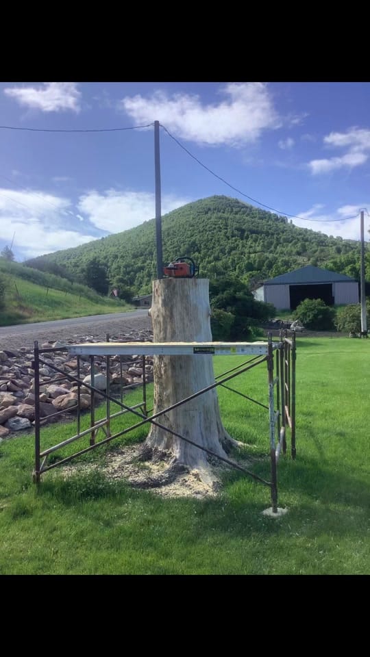 Post 3 by Sean Cudney on TikTok (video)