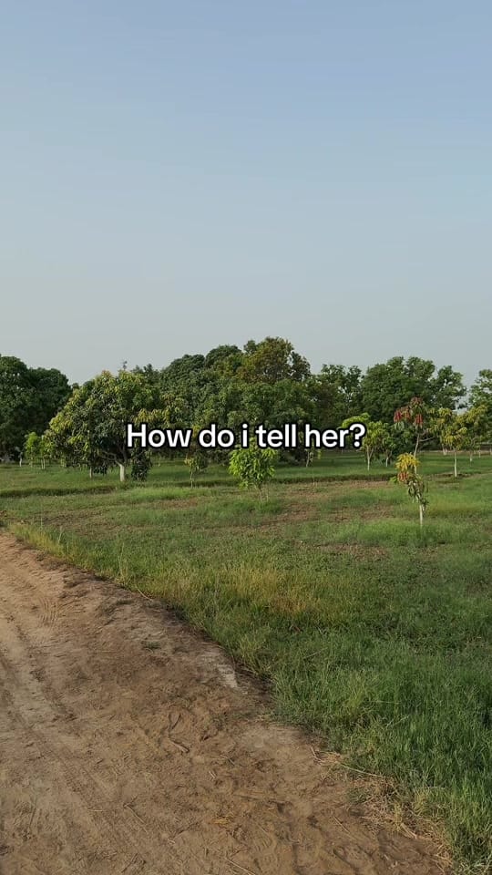 Post 10 by bajwacollection.ugc on TikTok (video)