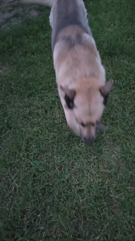Post 4 by Ivan Ortiz on TikTok (video)