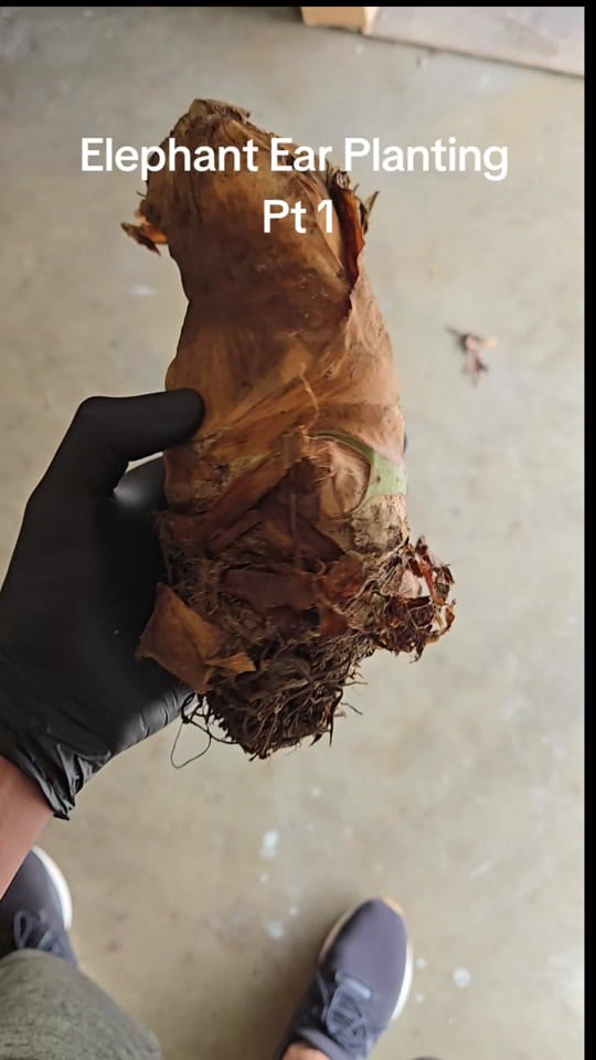 Post 3 by Ivan Ortiz on TikTok (video)