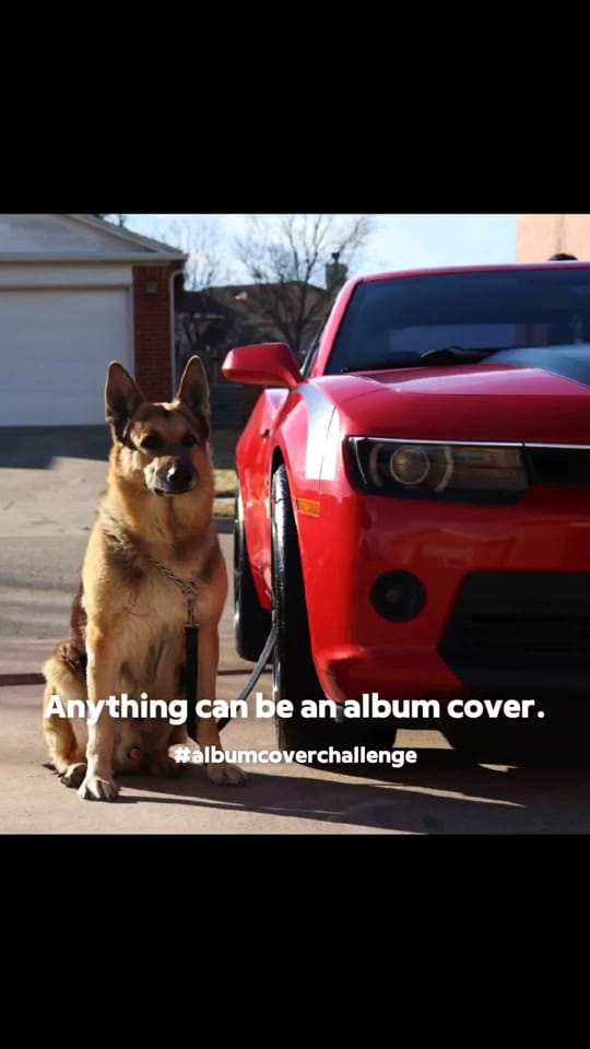 Post 7 by Ivan Ortiz on TikTok (video)