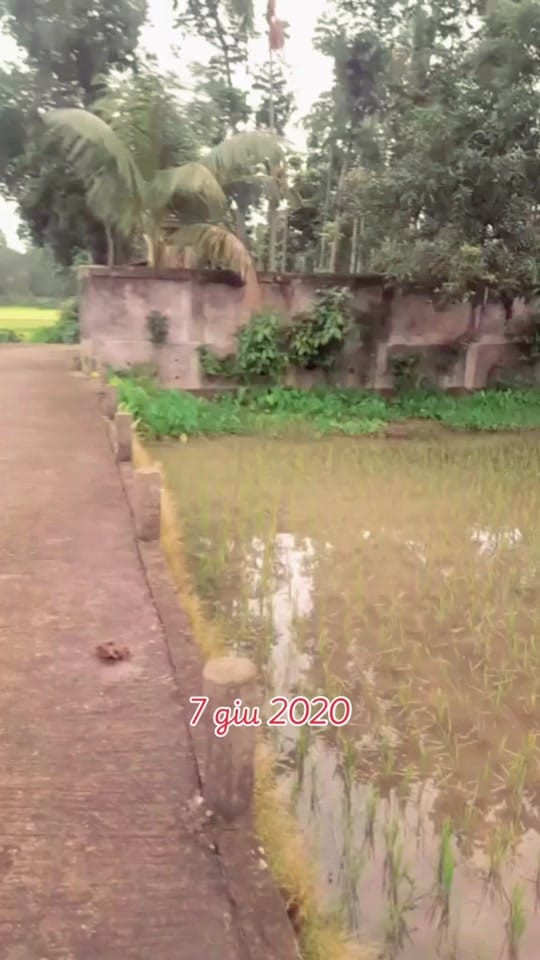 Post 3 by MUHON on TikTok (video)