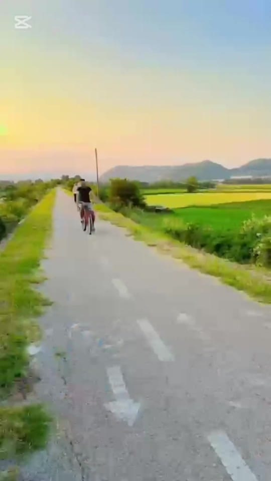 Post 7 by MUHON on TikTok (video)