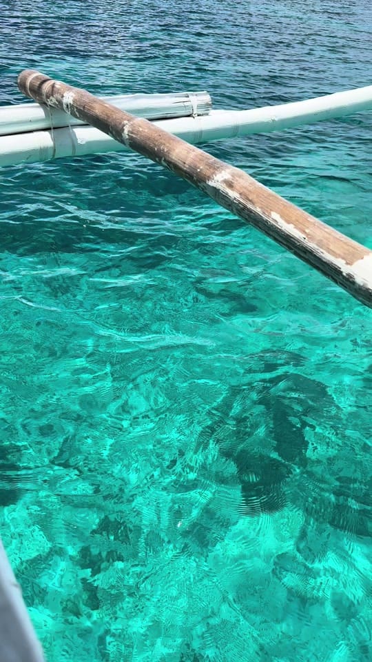 Post 4 by Marieficent 🌹 on TikTok (video)
