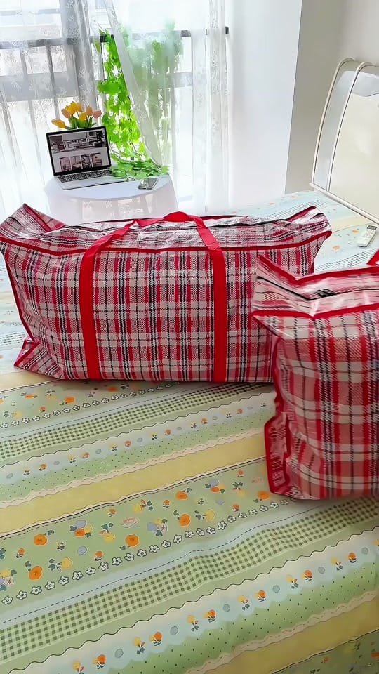 Post 2 by LAZY ECO on TikTok (video)