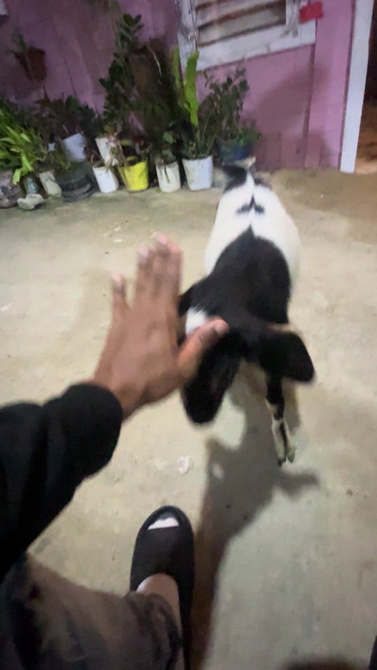 Post 1 by El 𝔪𝔞𝔯𝔦𝔬 de tu 𝔪𝔲𝔧𝔢𝔯 on TikTok (video)