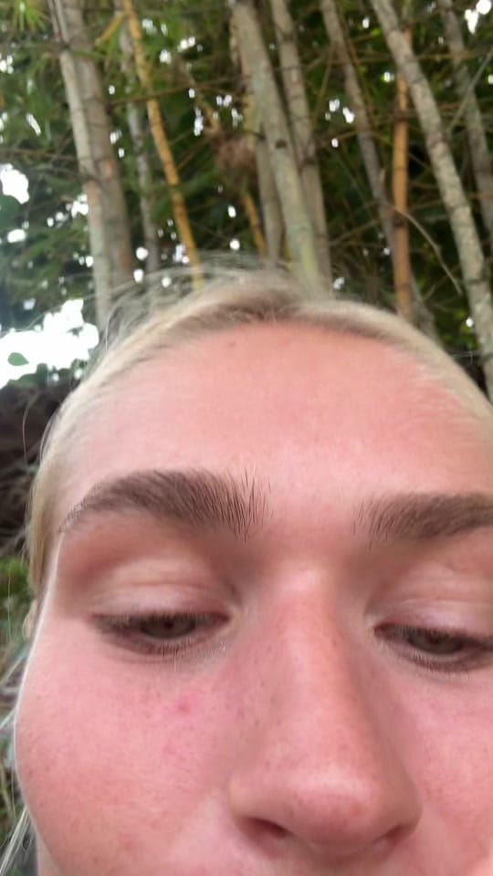 Post 7 by luisebrhr 💗 on TikTok (video)