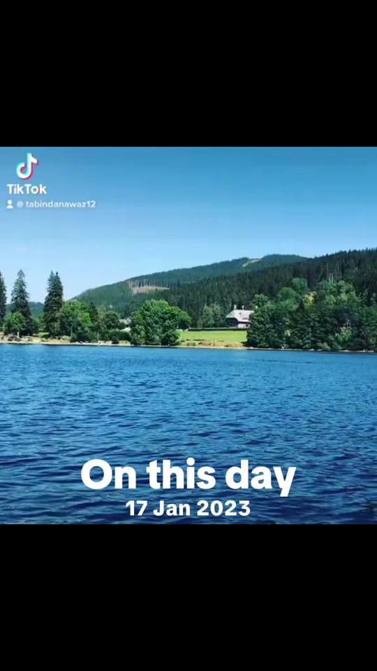 Post 2 by Tabi in Germany 🇩🇪 on TikTok (video)