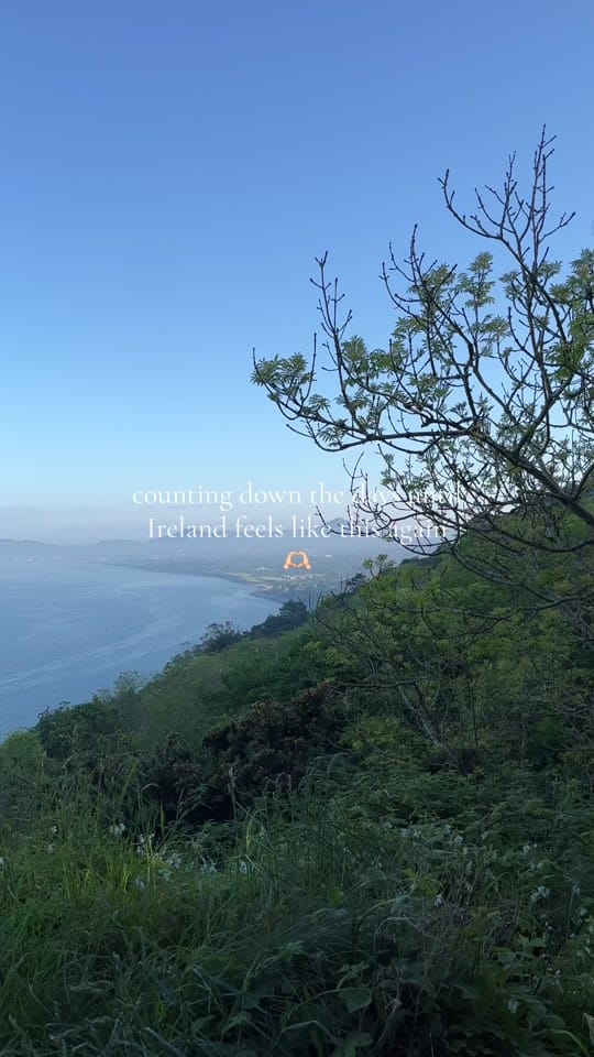 Post 7 by Laura Geraghty on TikTok (video)