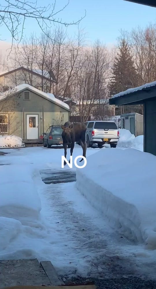 Post 8 by Nay on TikTok (video)