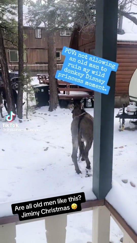Post 5 by Nay on TikTok (video)