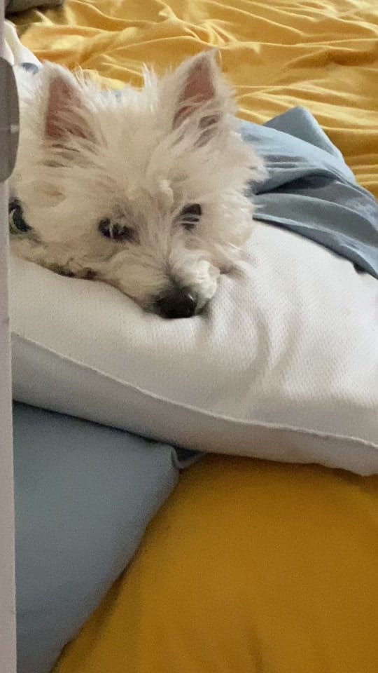 Post 4 by batemote on TikTok (video)