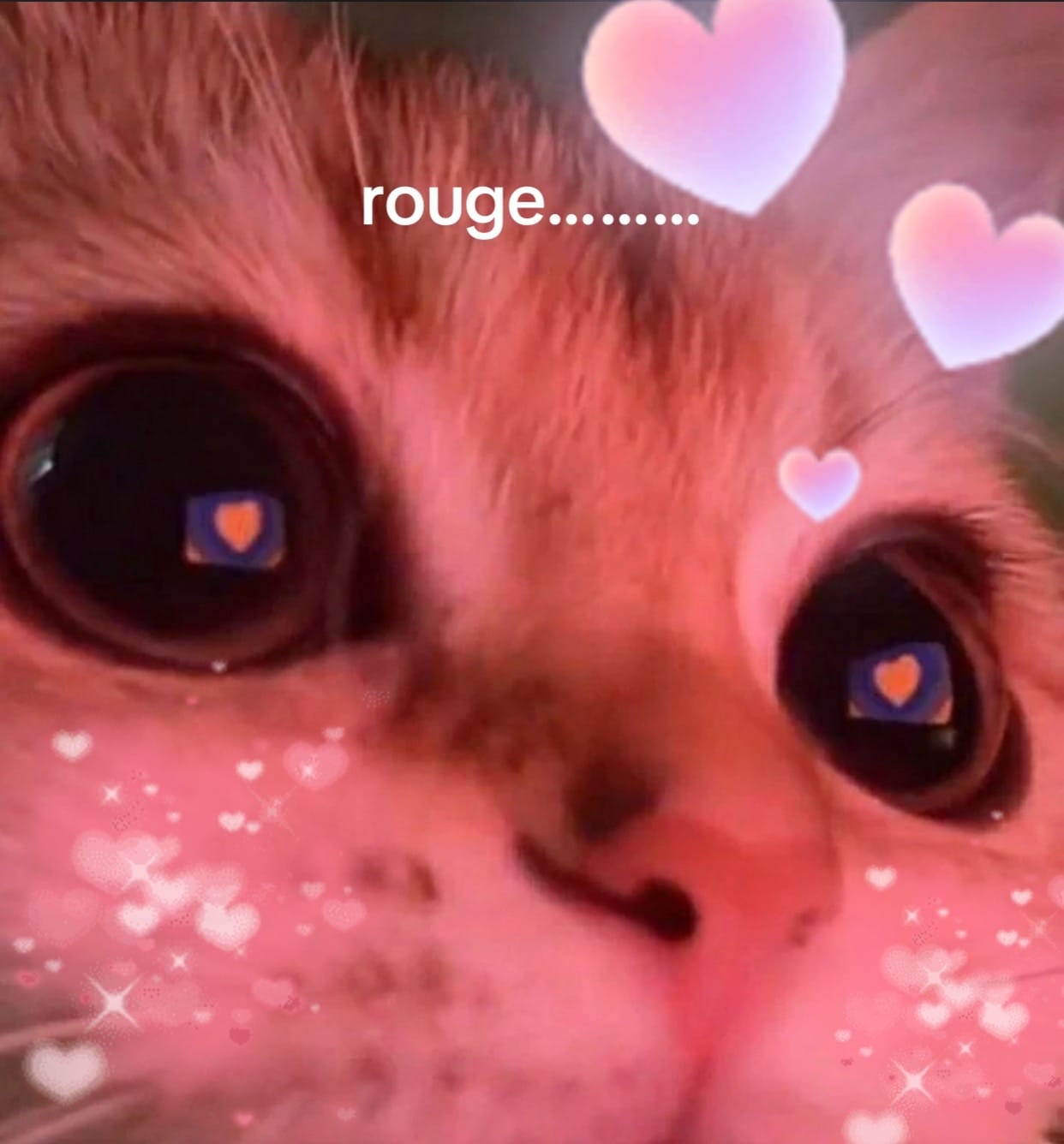 Post 2 by batemote on TikTok (video)