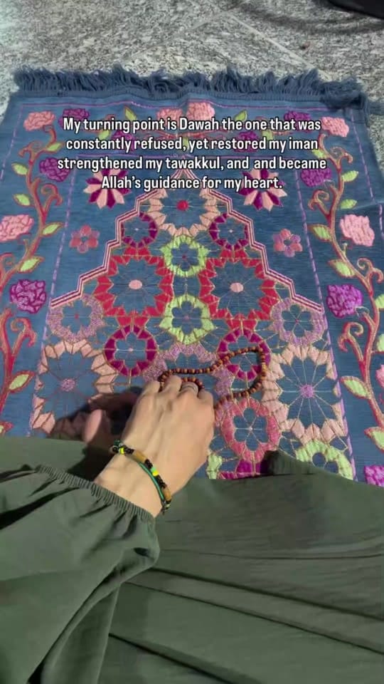 Post 1 by Travel with Maria Soomro 🇩🇪 on TikTok (video)