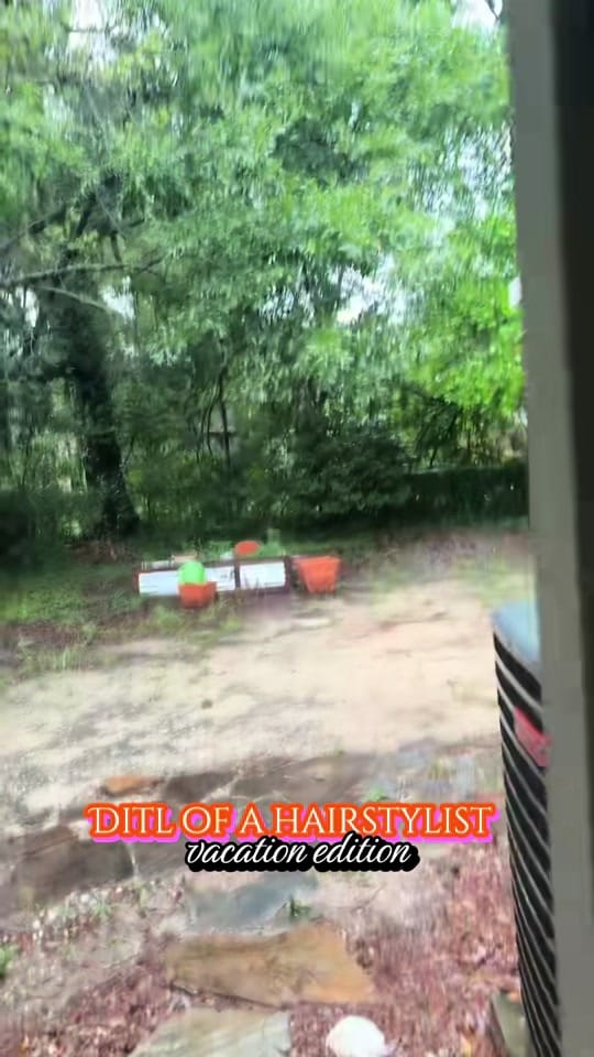Post 1 by rebecca.hair.cats.books on TikTok (video)