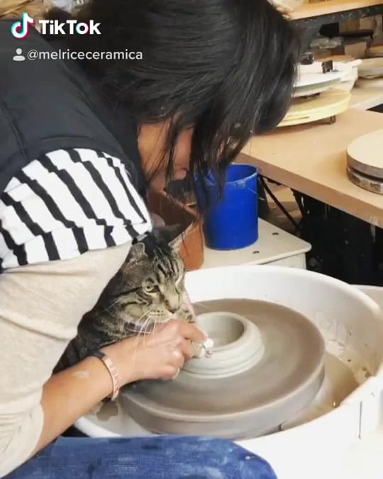 Post 4 by melriceceramica on TikTok (video)