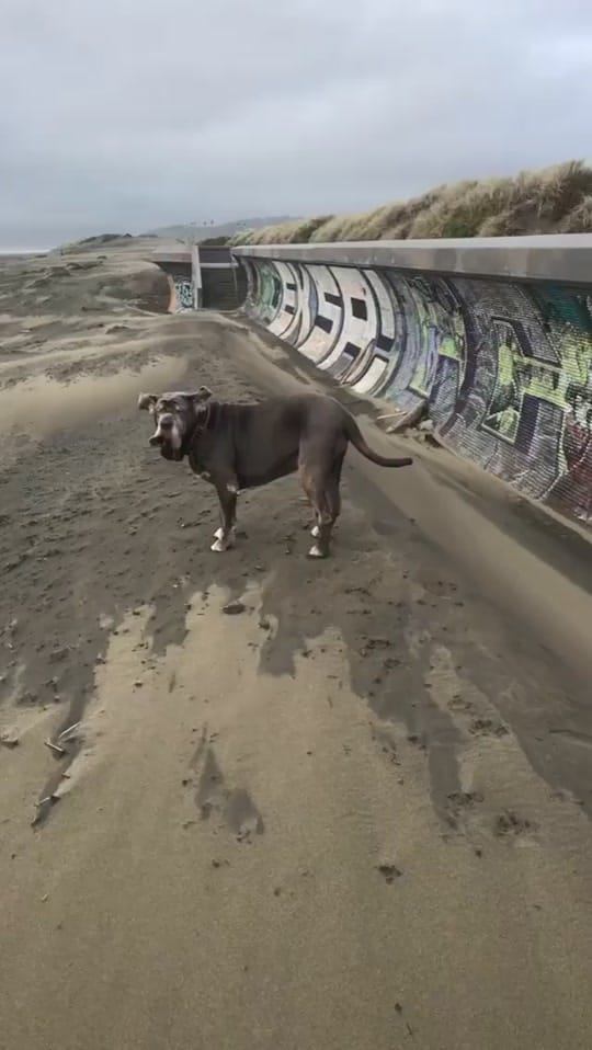 Post 6 by melriceceramica on TikTok (video)