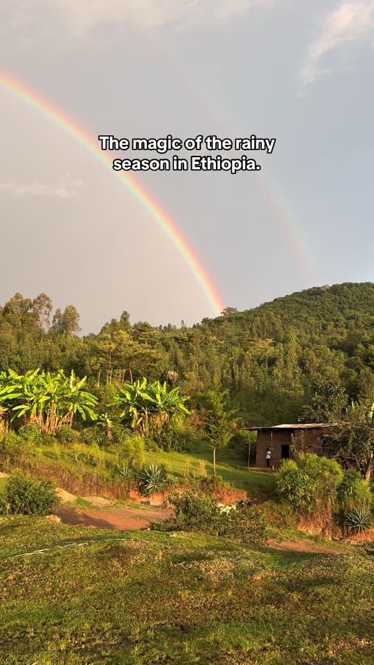 Post 6 by Bokehm0n on TikTok (video)