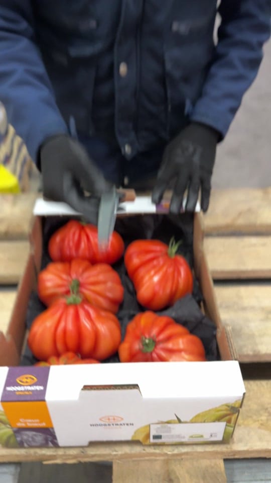 Post 8 by XT4RG3T on TikTok (video)