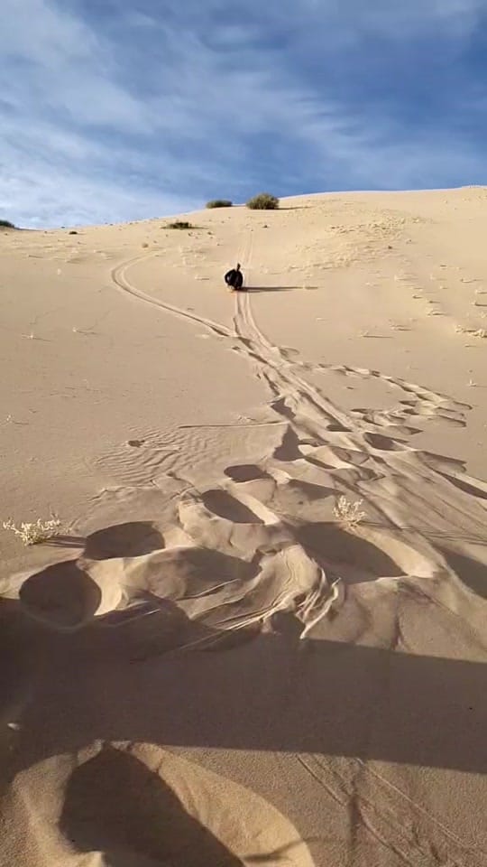 Post 5 by muenchmax on TikTok (video)