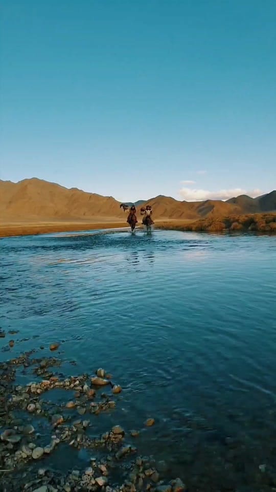Post 4 by muenchmax on TikTok (video)