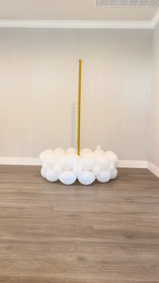 Post 6 by Taj.balloons on TikTok (video)