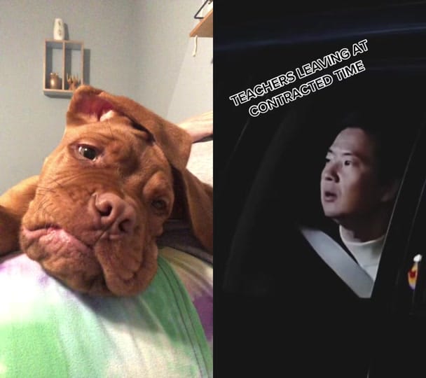 Post 6 by katiesunshine14 on TikTok (video)