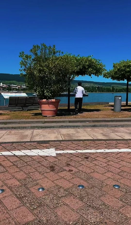 Post 5 by Tarar on TikTok (video)