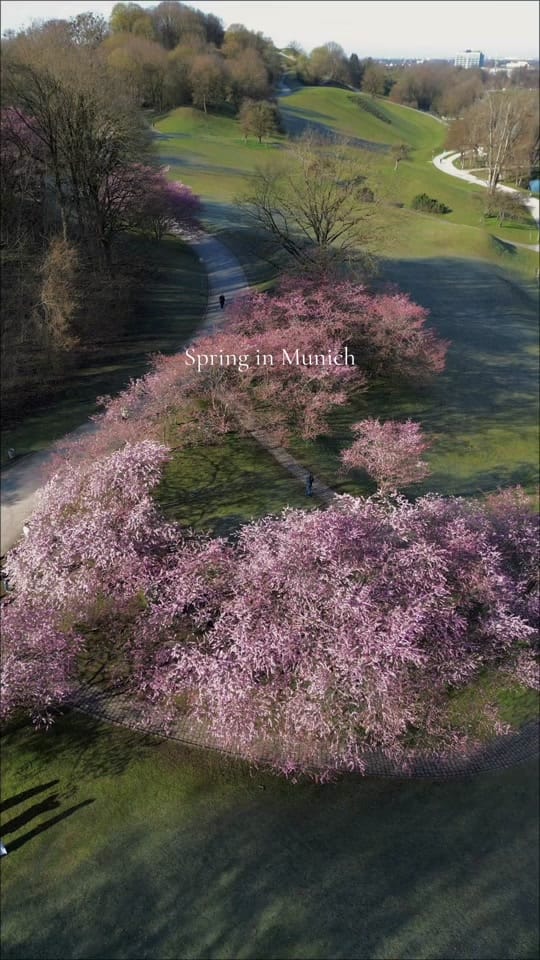 Post 8 by S I L V I A on TikTok (video)
