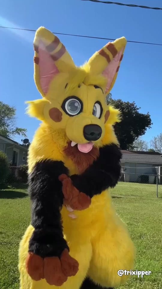 Post 6 by Feira fox | Dipper on TikTok (video)
