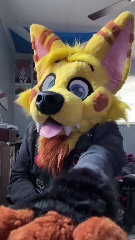 Post 8 by Feira fox | Dipper on TikTok (video)