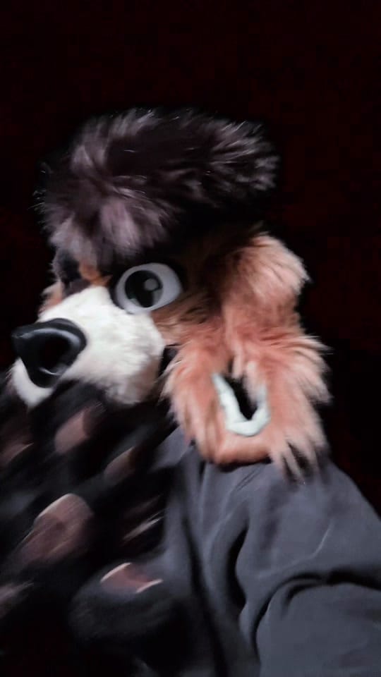 Post 1 by Feira fox | Dipper on TikTok (video)