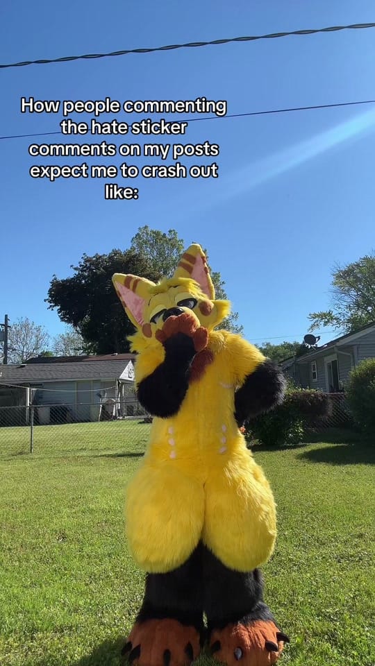 Post 4 by Feira fox | Dipper on TikTok (video)