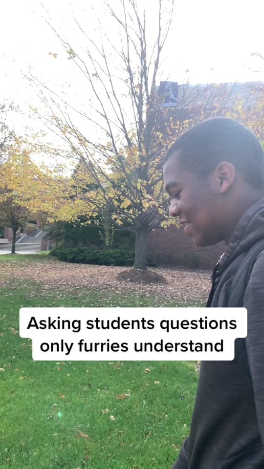 Post 10 by Feira fox | Dipper on TikTok (video)