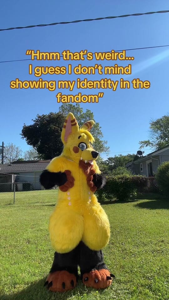 Post 2 by Feira fox | Dipper on TikTok (video)