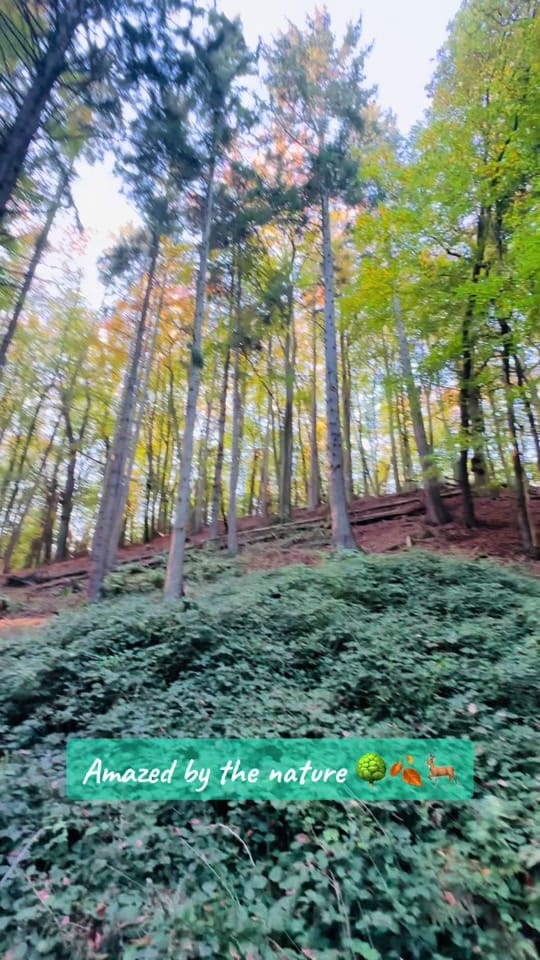 Post 8 by Anna Sm on TikTok (video)