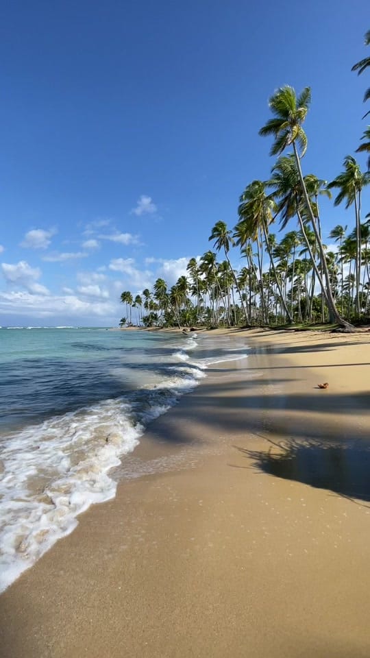 Post 10 by Lisa | Travel Creator on TikTok (video)