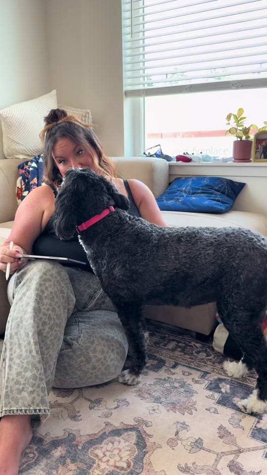 Post 3 by Cait Stieren on TikTok (video)