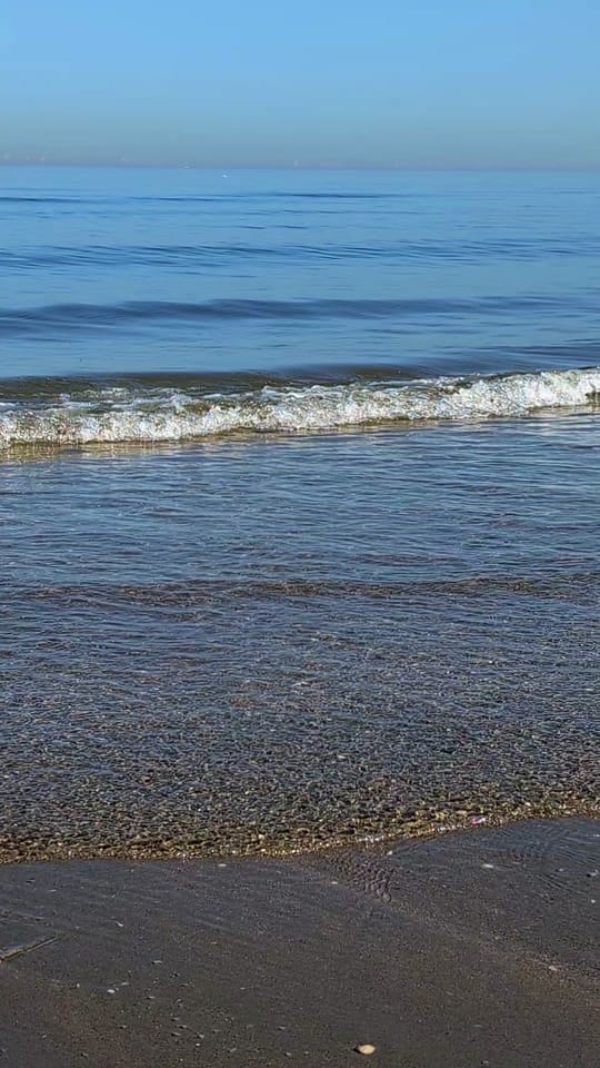 Post 5 by 💞Mascha💞 on TikTok (video)