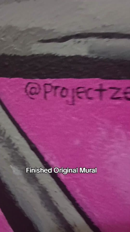 Post 7 by ProjectZer0Art on TikTok (video)