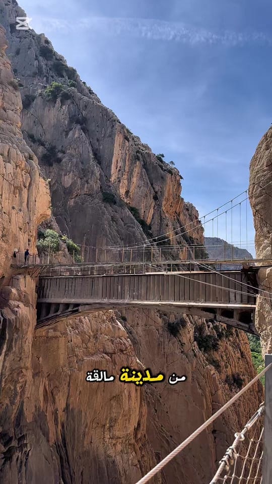 Post 2 by Compass - البوصلة on TikTok (video)
