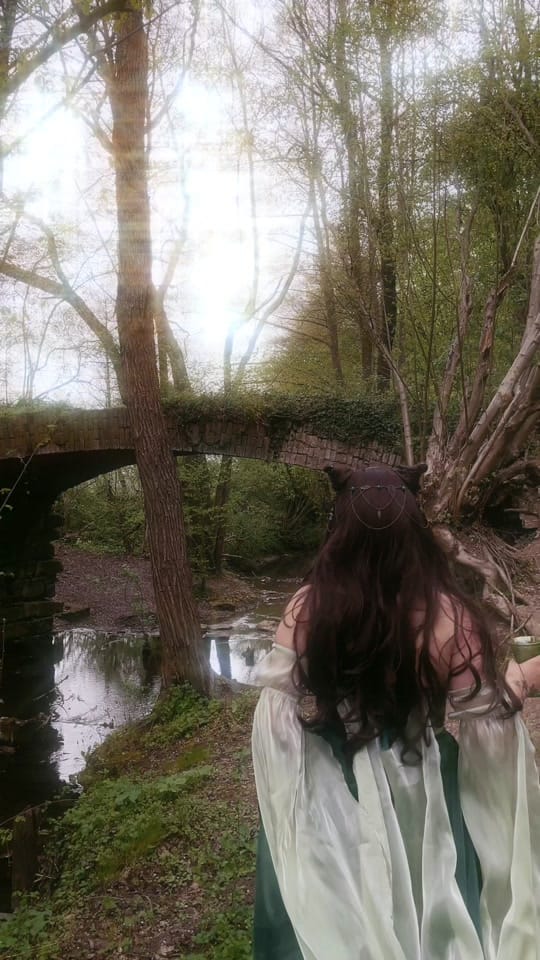 Post 6 by Emerald Dreams 🌿 on TikTok (video)
