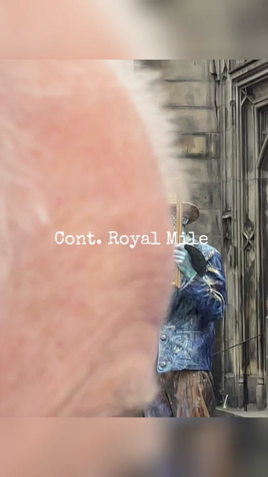 Post 5 by Will on TikTok (video)
