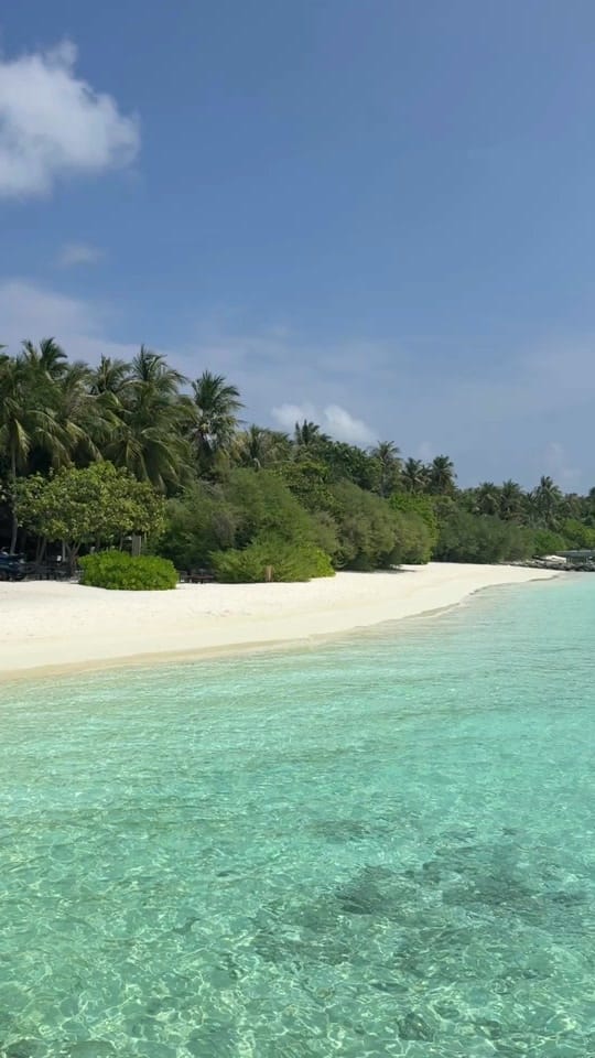 Post 5 by 🌺Travel Content🌴 on TikTok (video)