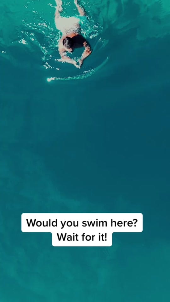 Post 5 by Nico 🤙🏽 on TikTok (video)