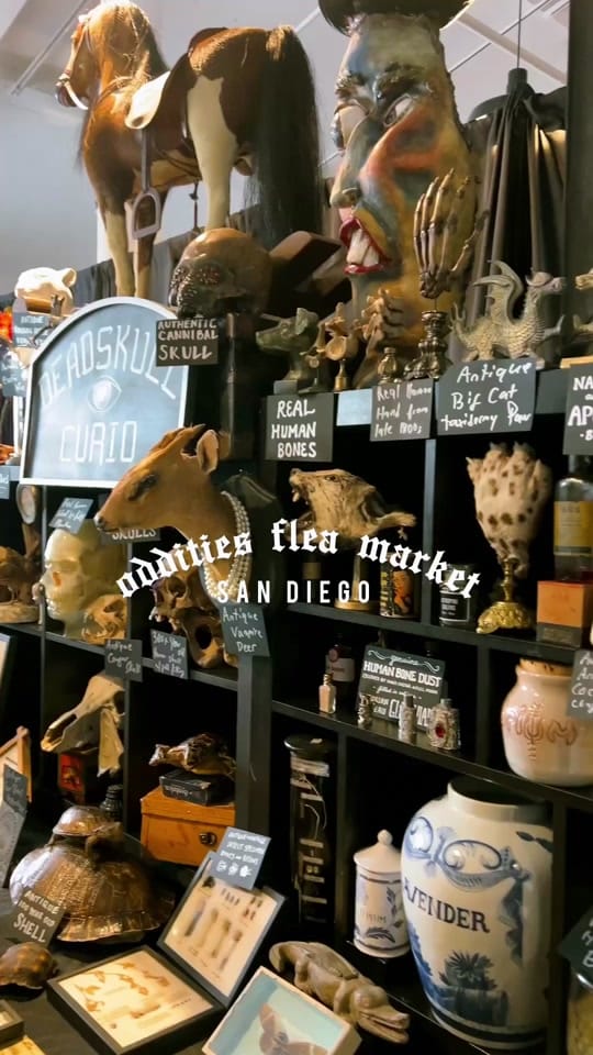Post 7 by Corinne Alexandra on TikTok (video)