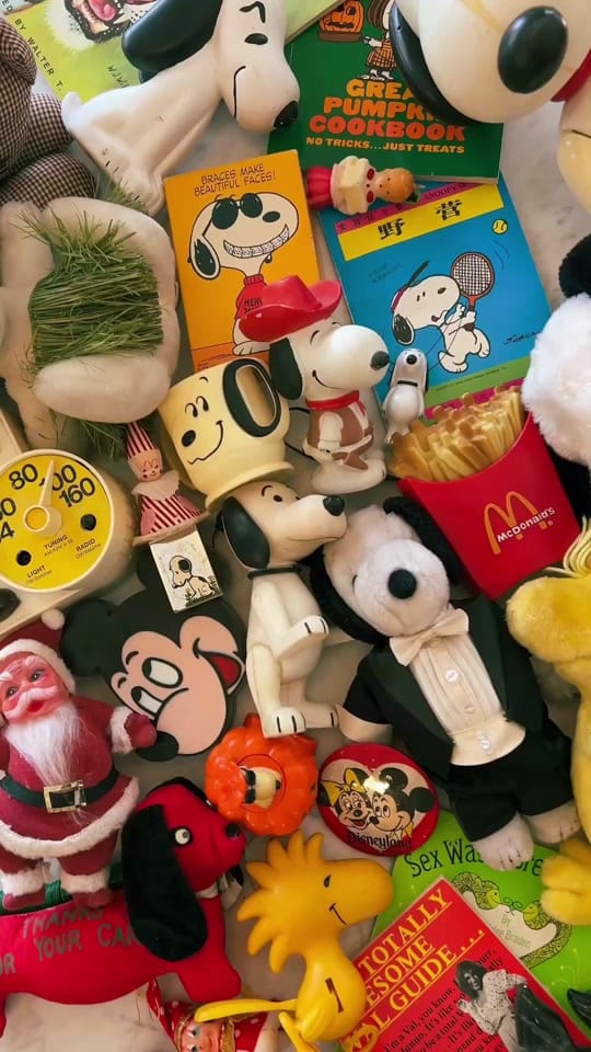 Post 1 by Corinne Alexandra on TikTok (video)
