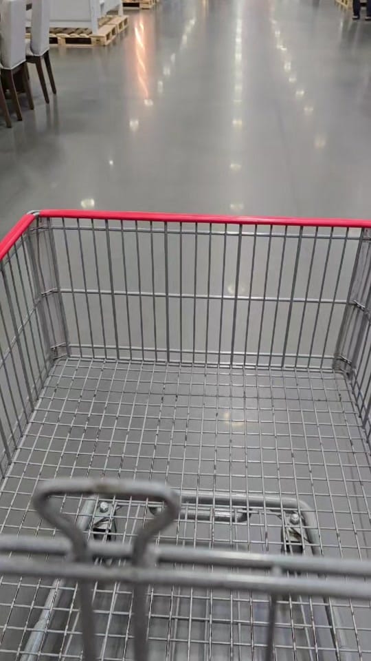 Post 8 by Jess on TikTok (video)